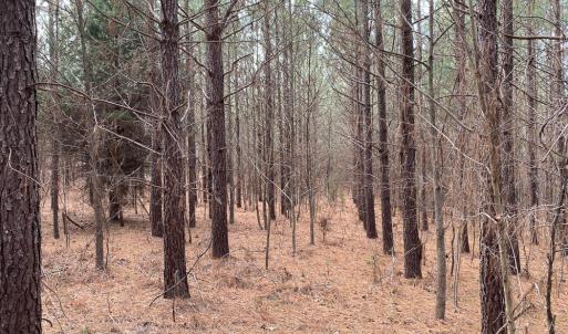 Photo #47 of SOLD property in 150 Bark Road, Ruffin, NC 36.5 acres