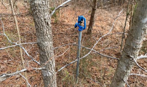 Photo #48 of SOLD property in 150 Bark Road, Ruffin, NC 36.5 acres