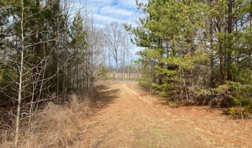 Photo #49 of SOLD property in 150 Bark Road, Ruffin, NC 36.5 acres