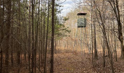 Photo #50 of SOLD property in 150 Bark Road, Ruffin, NC 36.5 acres
