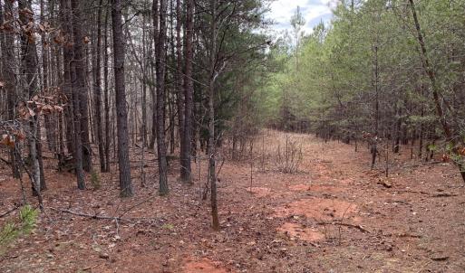 Photo #51 of SOLD property in 150 Bark Road, Ruffin, NC 36.5 acres