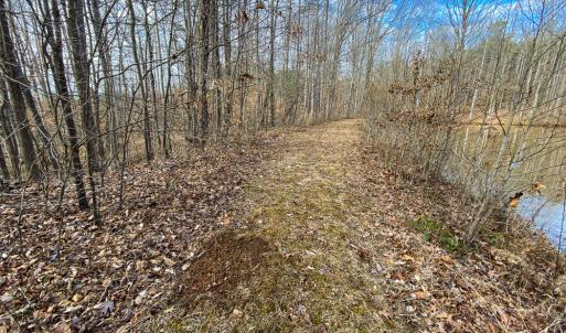 Photo #7 of SOLD property in 150 Bark Road, Ruffin, NC 36.5 acres