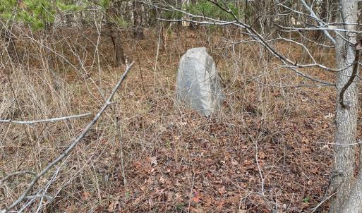 Photo #55 of SOLD property in 150 Bark Road, Ruffin, NC 36.5 acres