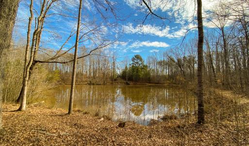 Photo #8 of SOLD property in 150 Bark Road, Ruffin, NC 36.5 acres