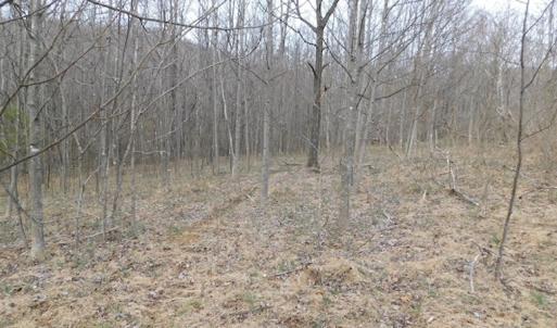 Photo #6 of SOLD property in Off Pine Spur Ln, Ararat, VA 15.4 acres
