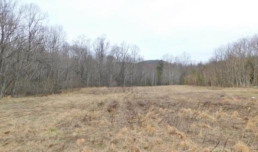 Photo #7 of SOLD property in Off Pine Spur Ln, Ararat, VA 15.4 acres