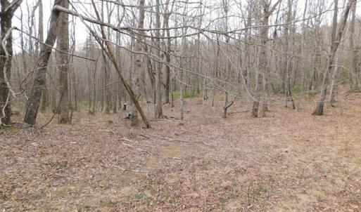Photo #8 of SOLD property in Off Pine Spur Ln, Ararat, VA 15.4 acres