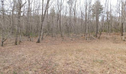 Photo #9 of SOLD property in Off Pine Spur Ln, Ararat, VA 15.4 acres