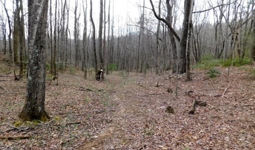 Photo #10 of SOLD property in Off Pine Spur Ln, Ararat, VA 15.4 acres
