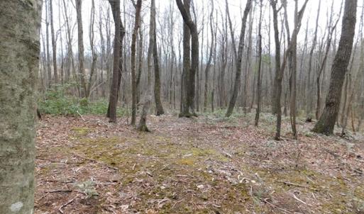 Photo #11 of SOLD property in Off Pine Spur Ln, Ararat, VA 15.4 acres