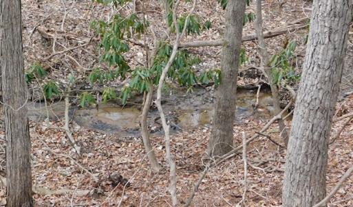 Photo #12 of SOLD property in Off Pine Spur Ln, Ararat, VA 15.4 acres