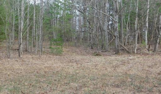Photo #14 of SOLD property in Off Pine Spur Ln, Ararat, VA 15.4 acres