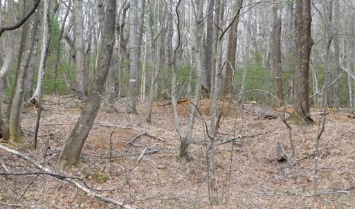 Photo #15 of SOLD property in Off Pine Spur Ln, Ararat, VA 15.4 acres
