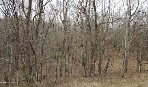 Photo #3 of SOLD property in Off Pine Spur Ln, Ararat, VA 15.4 acres