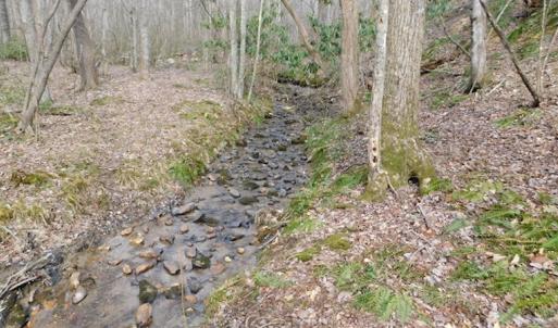 Photo #5 of SOLD property in Off Pine Spur Ln, Ararat, VA 15.4 acres
