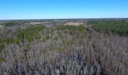 Photo #12 of Mill Branch Road, Fairmont, NC 147.5 acres