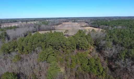 Photo #13 of Mill Branch Road, Fairmont, NC 147.5 acres