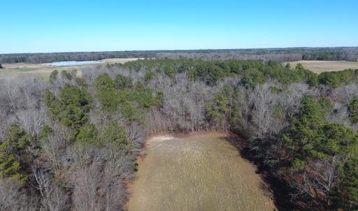 Photo #14 of Mill Branch Road, Fairmont, NC 147.5 acres