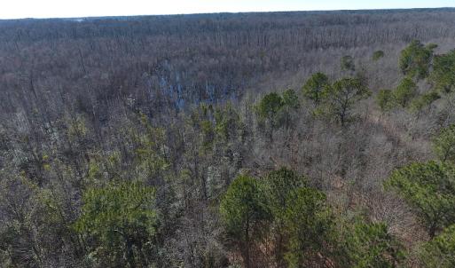 Photo #15 of Mill Branch Road, Fairmont, NC 147.5 acres