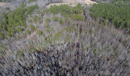 Photo #18 of Mill Branch Road, Fairmont, NC 147.5 acres