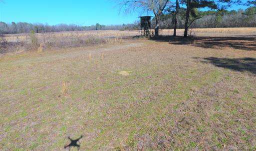 Photo #19 of Mill Branch Road, Fairmont, NC 147.5 acres