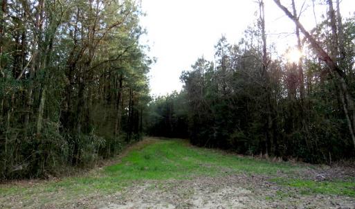 Photo #11 of SOLD property in Off Chadbourn Hwy, Chadbourn, NC 44.3 acres