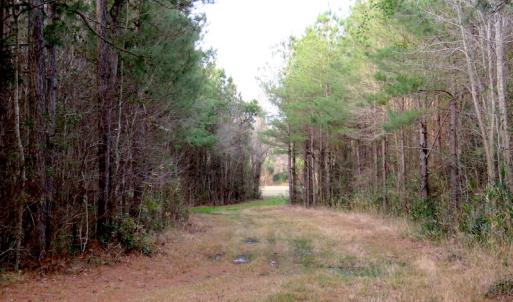 Photo #12 of SOLD property in Off Chadbourn Hwy, Chadbourn, NC 44.3 acres