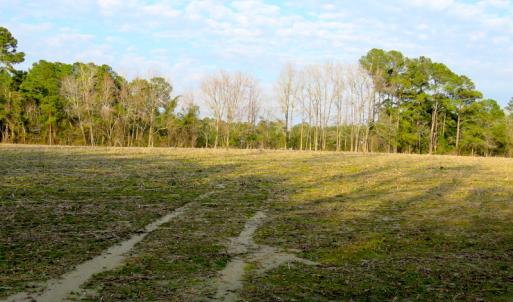 Photo #13 of SOLD property in Off Chadbourn Hwy, Chadbourn, NC 44.3 acres