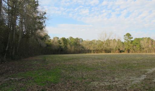 Photo #14 of SOLD property in Off Chadbourn Hwy, Chadbourn, NC 44.3 acres