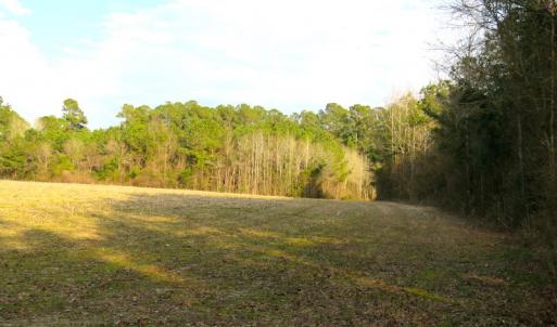 Photo #15 of SOLD property in Off Chadbourn Hwy, Chadbourn, NC 44.3 acres