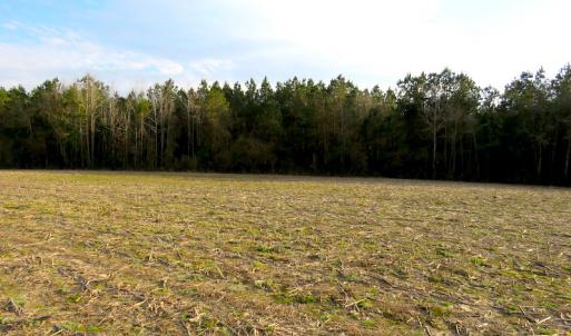 Photo #16 of SOLD property in Off Chadbourn Hwy, Chadbourn, NC 44.3 acres