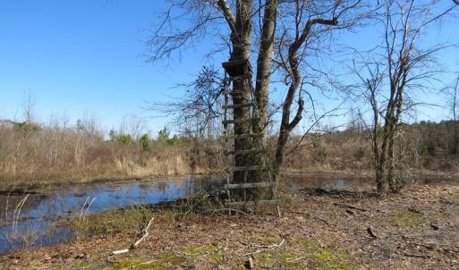 Photo #11 of SOLD property in 3431 AB Carter Road, Fayetteville, NC 61.0 acres