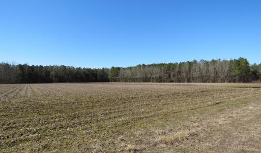 Photo #3 of SOLD property in 3431 AB Carter Road, Fayetteville, NC 61.0 acres
