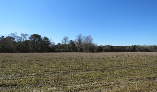Photo #5 of SOLD property in 3431 AB Carter Road, Fayetteville, NC 61.0 acres