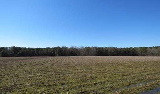 Photo #7 of SOLD property in 3431 AB Carter Road, Fayetteville, NC 61.0 acres