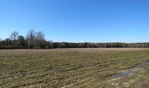 Photo #9 of SOLD property in 3431 AB Carter Road, Fayetteville, NC 61.0 acres