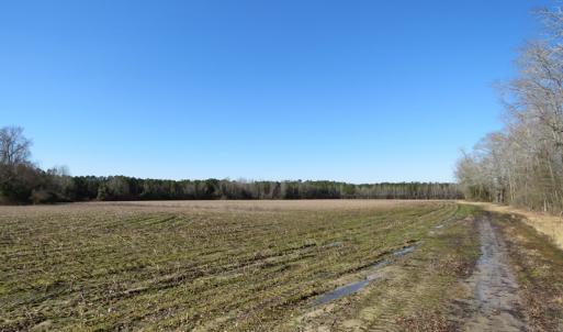Photo #10 of SOLD property in 3431 AB Carter Road, Fayetteville, NC 61.0 acres