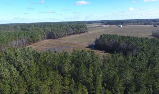 Photo #2 of SOLD property in Goins Road, Chadbourn, NC 19.8 acres