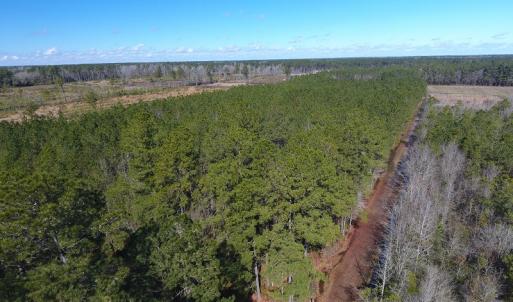 Photo #11 of SOLD property in Goins Road, Chadbourn, NC 19.8 acres