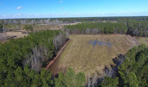 Photo #3 of SOLD property in Goins Road, Chadbourn, NC 19.8 acres