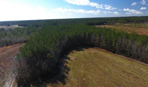 Photo #7 of SOLD property in Goins Road, Chadbourn, NC 19.8 acres