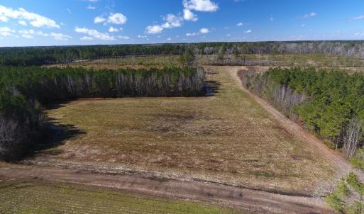 Photo #8 of SOLD property in Goins Road, Chadbourn, NC 19.8 acres