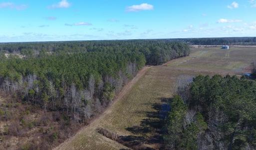 Photo #9 of SOLD property in Goins Road, Chadbourn, NC 19.8 acres