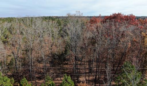 Photo #4 of SOLD property in Off SC 34 - Mt. Hope Road, Ridgeway, SC 105.0 acres