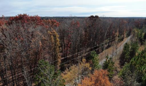 Photo #5 of SOLD property in Off SC 34 - Mt. Hope Road, Ridgeway, SC 105.0 acres