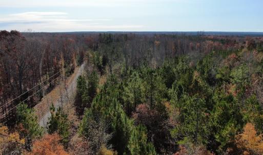 Photo #6 of SOLD property in Off SC 34 - Mt. Hope Road, Ridgeway, SC 105.0 acres