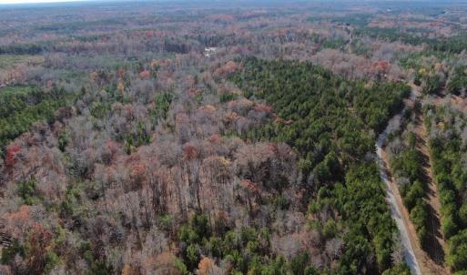 Photo #7 of SOLD property in Off SC 34 - Mt. Hope Road, Ridgeway, SC 105.0 acres