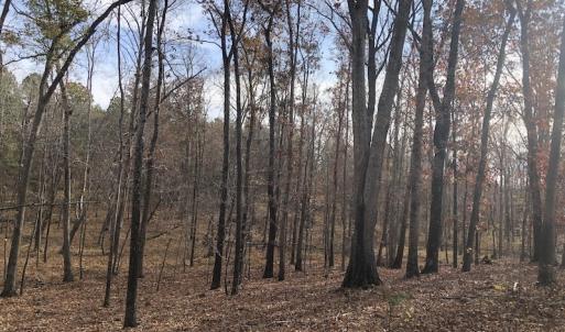 Photo #9 of SOLD property in Off SC 34 - Mt. Hope Road, Ridgeway, SC 105.0 acres