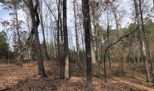 Photo #12 of SOLD property in Off SC 34 - Mt. Hope Road, Ridgeway, SC 105.0 acres