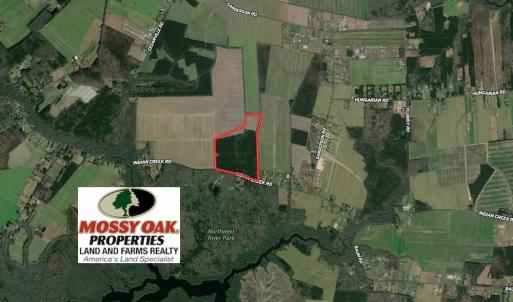 Photo #2 of SOLD property in Off Indian Creek Rd, Chesapeake, VA 105.7 acres